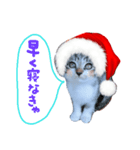 Xmas cat（個別スタンプ：6）