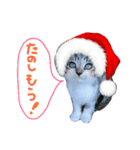 Xmas cat（個別スタンプ：8）