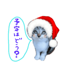 Xmas cat（個別スタンプ：9）