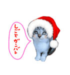 Xmas cat（個別スタンプ：11）