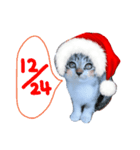 Xmas cat（個別スタンプ：12）