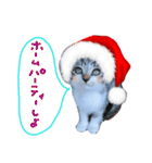 Xmas cat（個別スタンプ：15）
