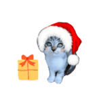 Xmas cat（個別スタンプ：16）