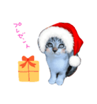 Xmas cat（個別スタンプ：17）