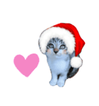 Xmas cat（個別スタンプ：20）
