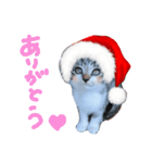 Xmas cat（個別スタンプ：21）