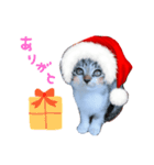 Xmas cat（個別スタンプ：22）