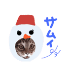Xmas cat（個別スタンプ：23）
