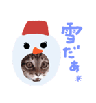 Xmas cat（個別スタンプ：24）