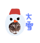 Xmas cat（個別スタンプ：25）