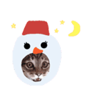Xmas cat（個別スタンプ：26）