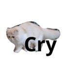 ucil（個別スタンプ：5）