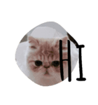 ucil（個別スタンプ：6）