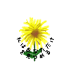 日本の花言葉（個別スタンプ：1）