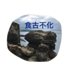 The revelation of nature（個別スタンプ：4）