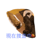 ワンコっこ 2（個別スタンプ：21）