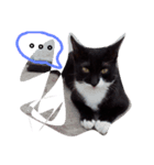 ひがしいさん、可愛い猫ちゃん（個別スタンプ：6）