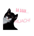 ひがしいさん、可愛い猫ちゃん（個別スタンプ：7）