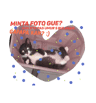 ひがしいさん、可愛い猫ちゃん（個別スタンプ：8）