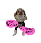 ぷぅしぃゆず3（個別スタンプ：8）