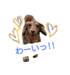 ぷぅしぃゆず3（個別スタンプ：10）