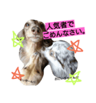 ぷぅしぃゆず3（個別スタンプ：13）