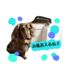 ぷぅしぃゆず3（個別スタンプ：14）