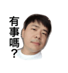 angry HULK（個別スタンプ：1）