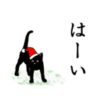 シンプル黒猫☆クリスマス＆お正月（個別スタンプ：19）