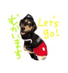 愛犬ひまわり2（個別スタンプ：3）