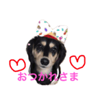 愛犬ひまわり2（個別スタンプ：14）