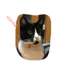 オモシロはちくん（個別スタンプ：2）