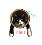 オモシロはちくん（個別スタンプ：3）