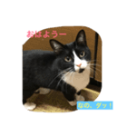 オモシロはちくん（個別スタンプ：4）