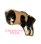 オモシロはちくん（個別スタンプ：7）