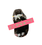 ISSA LOVE！（個別スタンプ：7）