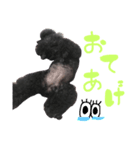 まいにちさくら（個別スタンプ：4）