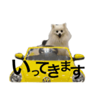 雪ちゃん銀ちゃん（個別スタンプ：16）