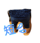 JTS sticker（個別スタンプ：30）