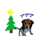 Beagle-Merry Christmas 2017（個別スタンプ：2）