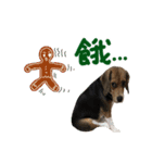 Beagle-Merry Christmas 2017（個別スタンプ：3）