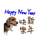 Beagle-Merry Christmas 2017（個別スタンプ：8）