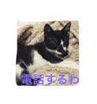 愛猫コタローとウメ（個別スタンプ：15）