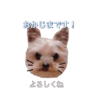 岡島さんちのモコ（個別スタンプ：2）
