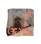 さしだ いっきゅう（個別スタンプ：2）