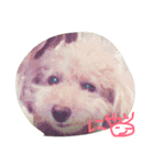 さしだ いっきゅう（個別スタンプ：7）