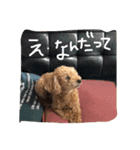 さしだ いっきゅう（個別スタンプ：10）