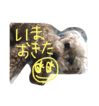 さしだ いっきゅう（個別スタンプ：13）