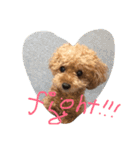 さしだ いっきゅう（個別スタンプ：14）