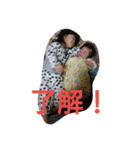 HANNAIORI（個別スタンプ：16）